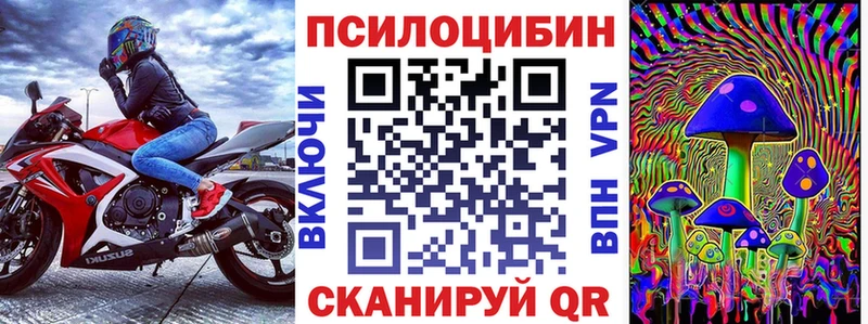 МЕГА tor  Зарайск  Псилоцибиновые грибы Psilocybe  цена  